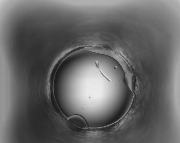 X0000095900342200801181250