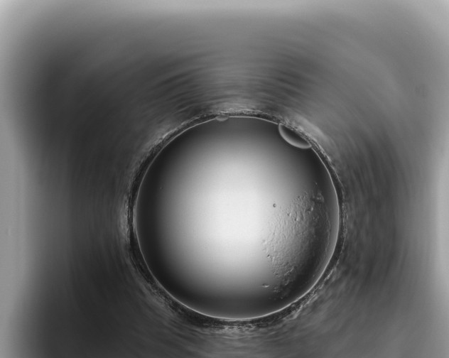 X0000095900345200801181250