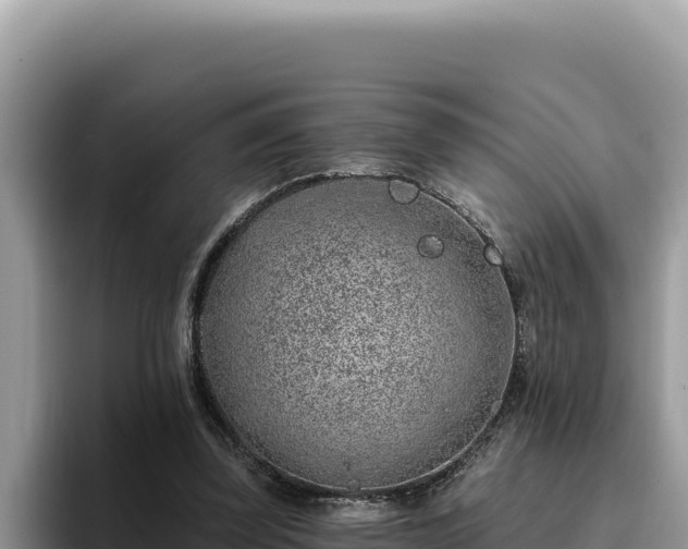 X0000095900347200801181250