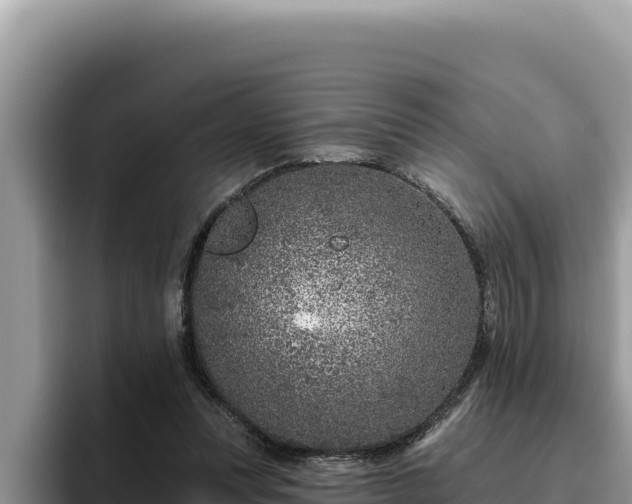 X0000095900351200801181250