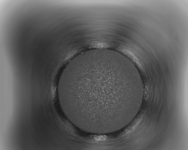 X0000095900355200801181250