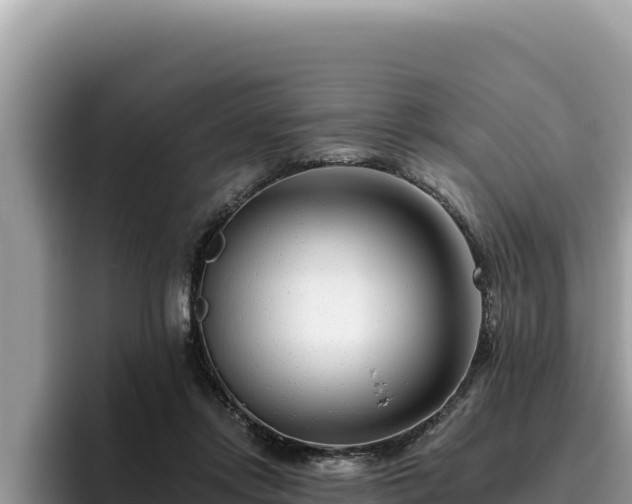 X0000095900358200801181250