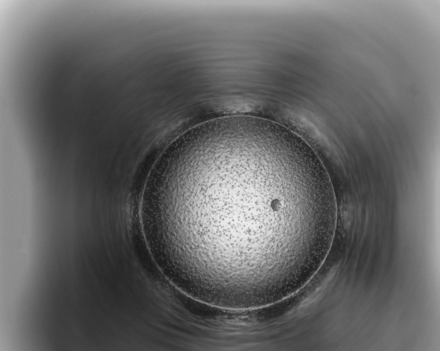 X0000095900359200801181250