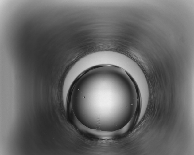 X0000095900362200801181250