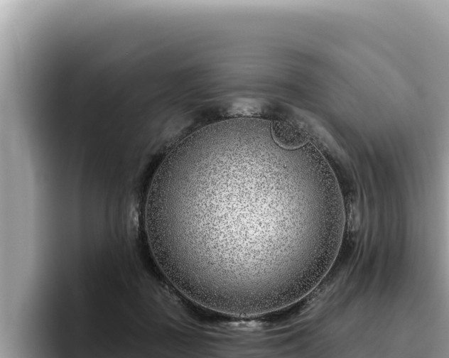 X0000095900363200801181250