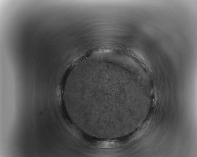 X0000095900366200801181251