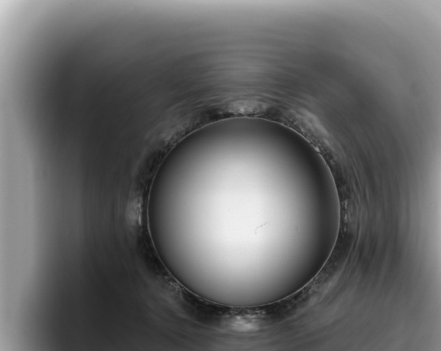 X0000095900368200801181251