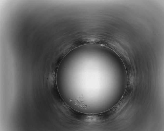 X0000095900376200801181251