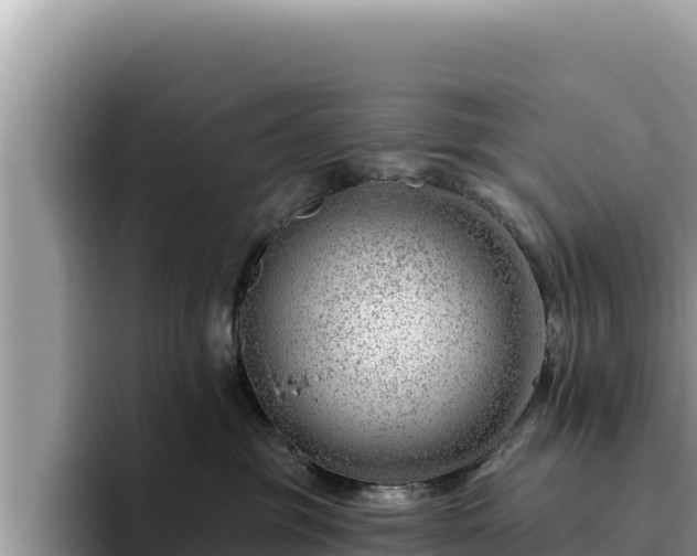 X0000095900381200801181251