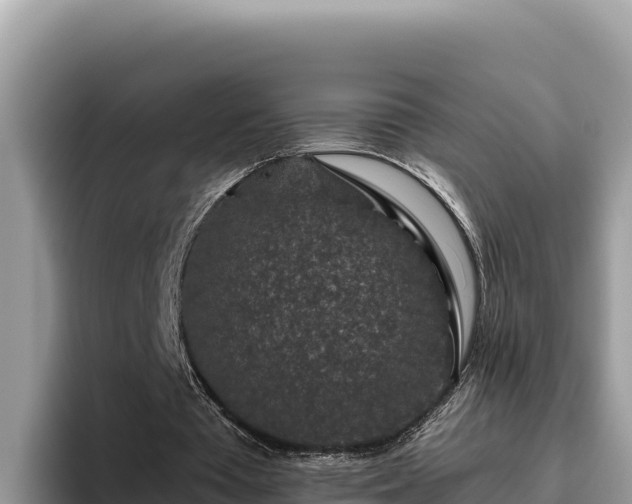 X0000095900385200801181250