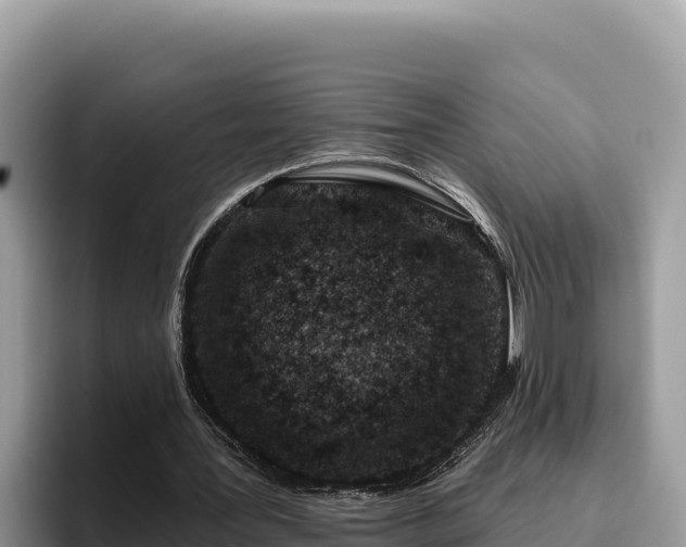 X0000095900387200801181250