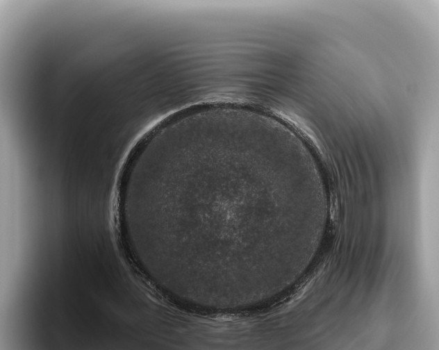 X0000095900388200801181250