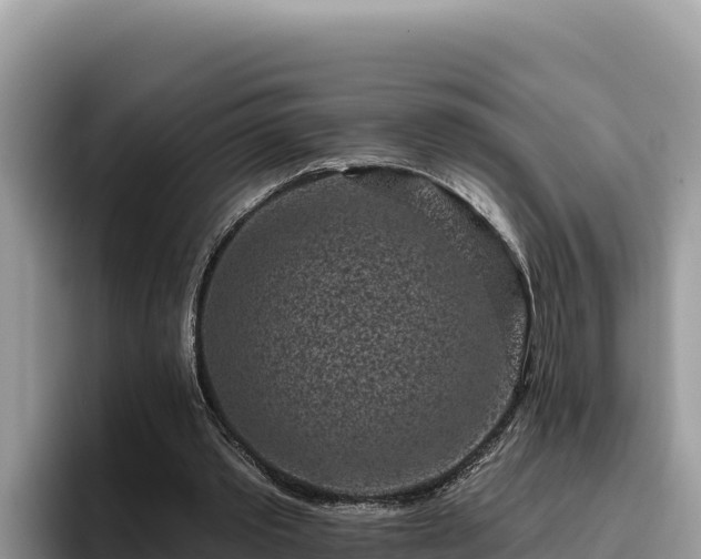 X0000095900389200801181250