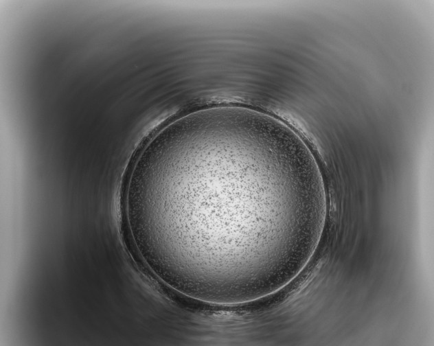 X0000095900390200801181250