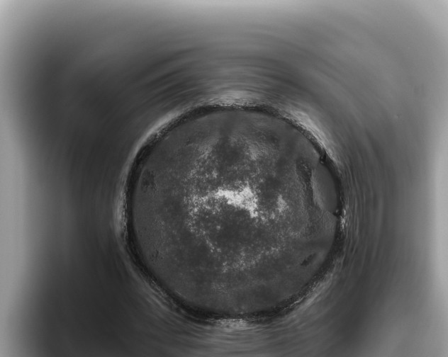 X0000095900392200801181250