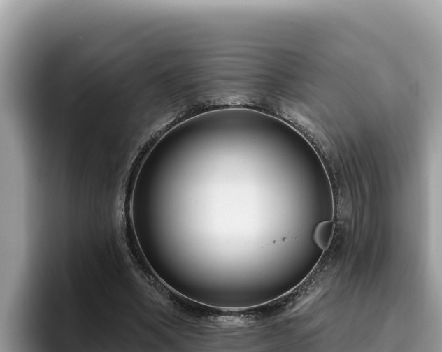 X0000095900394200801181250