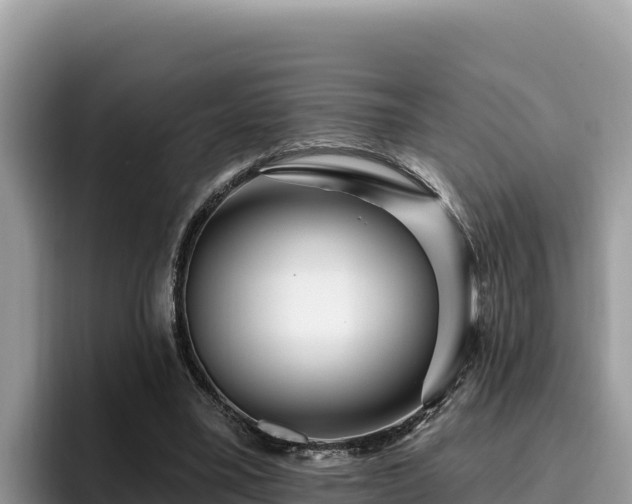 X0000095900395200801181250