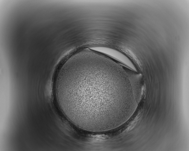 X0000095900396200801181250