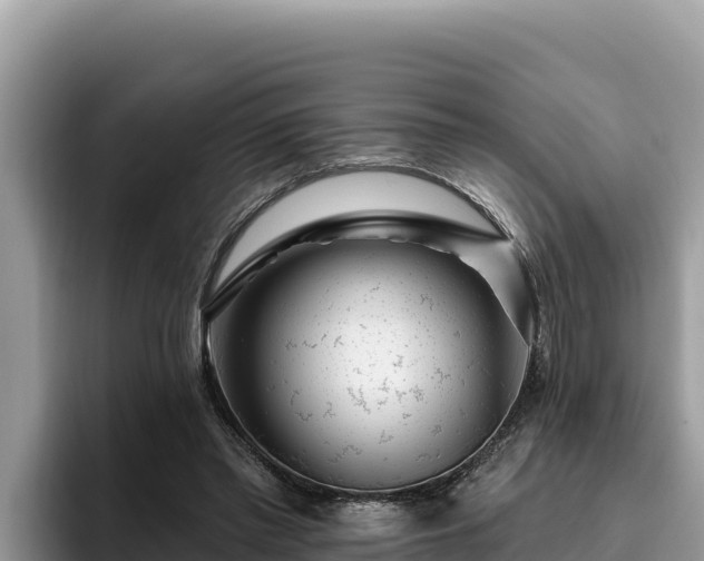 X0000095900397200801181250