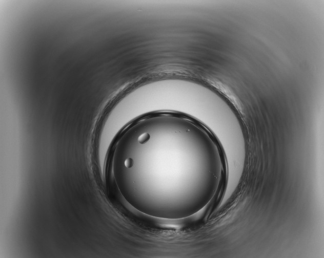 X0000095900399200801181250