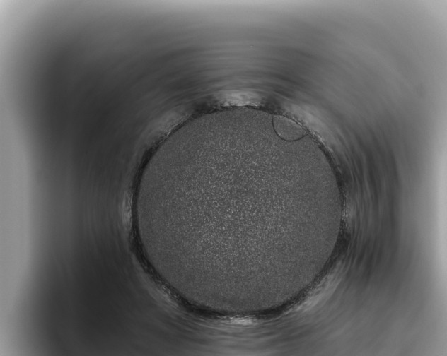 X0000095900402200801181250