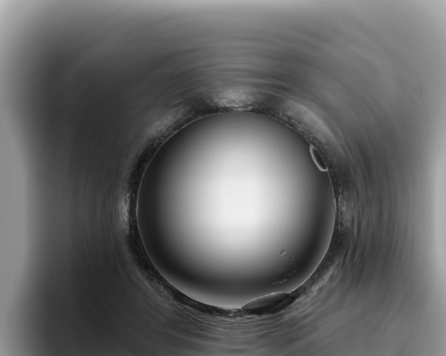 X0000095900404200801181250