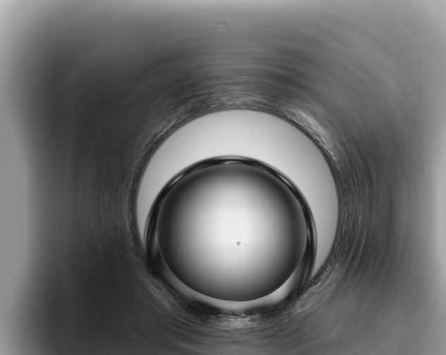 X0000095900405200801181250