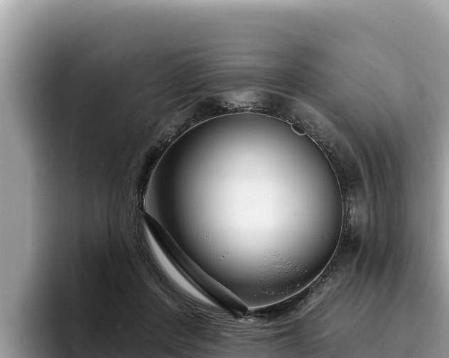 X0000095900408200801181250