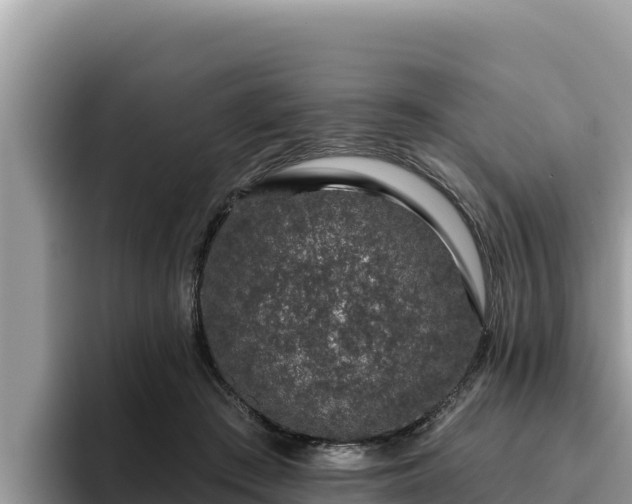 X0000095900409200801181250