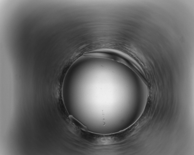 X0000095900413200801181250