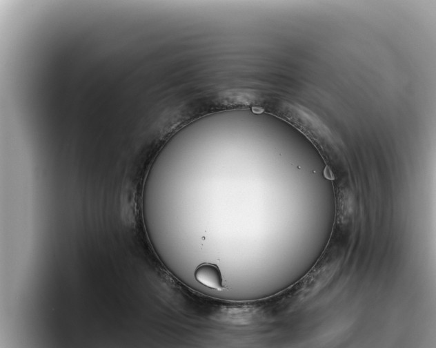 X0000095900414200801181250