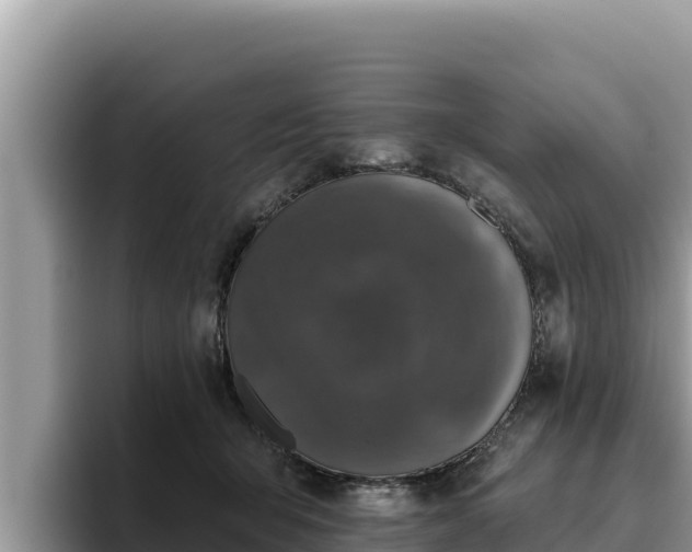 X0000095900415200801181250