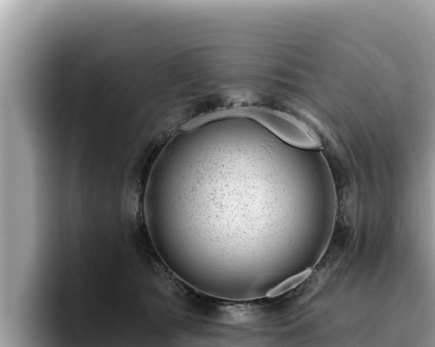 X0000095900417200801181250