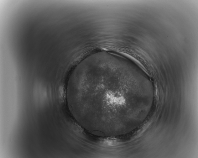 X0000095900420200801181250