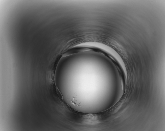 X0000095900421200801181250