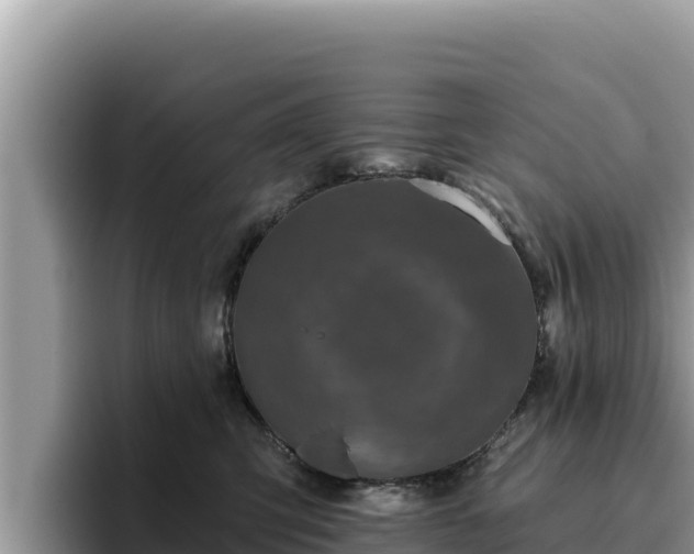 X0000095900423200801181250