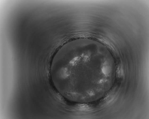 X0000095900424200801181250