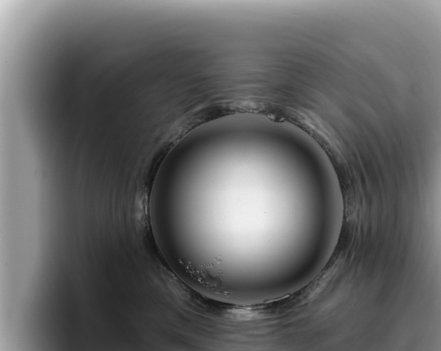 X0000095900425200801181250