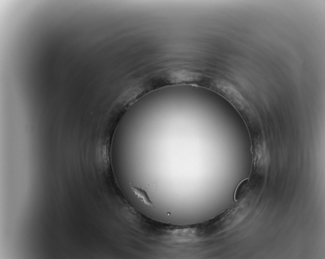 X0000095900426200801181250