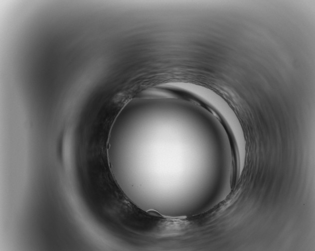 X0000095900429200801181250