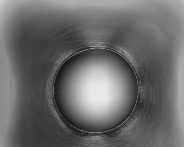 X0000095900433200801181249