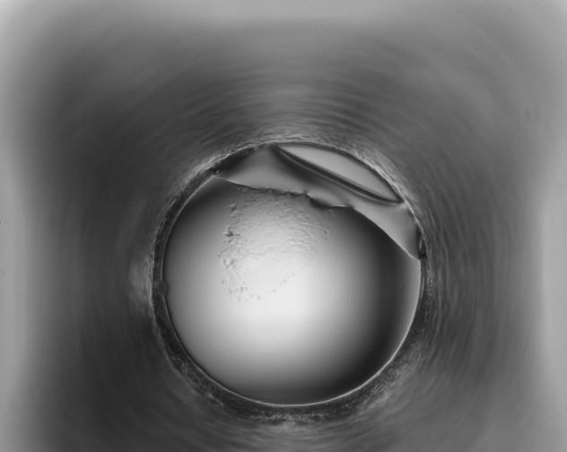 X0000095900434200801181249