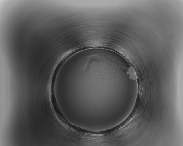 X0000095900438200801181249