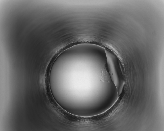 X0000095900439200801181249