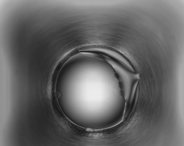 X0000095900440200801181249