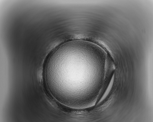 X0000095900443200801181249