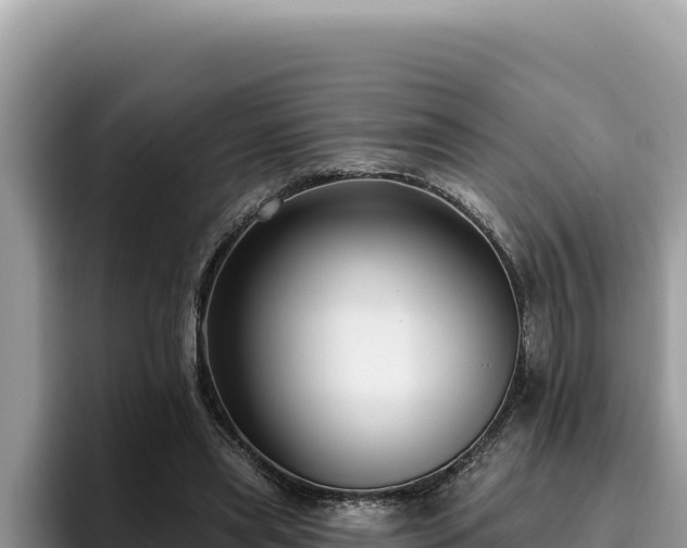 X0000095900445200801181249