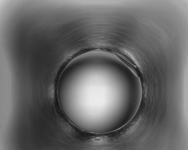 X0000095900447200801181249