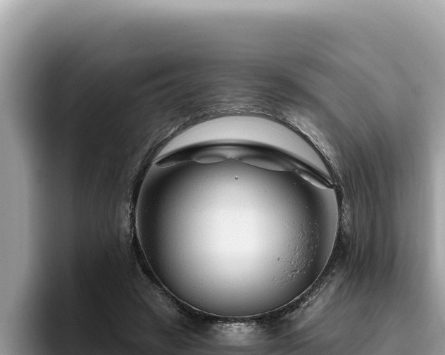 X0000095900449200801181249