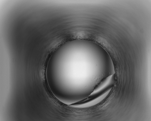 X0000095900450200801181249